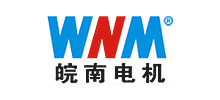 安徽皖南(nán)電(diàn)機(jī)股份有(yǒu)限公司